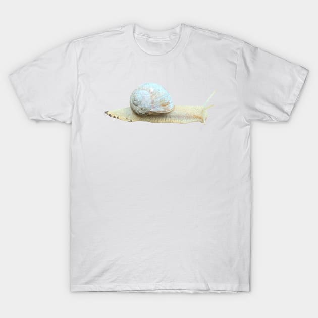 Snail T-Shirt by A_using_colors